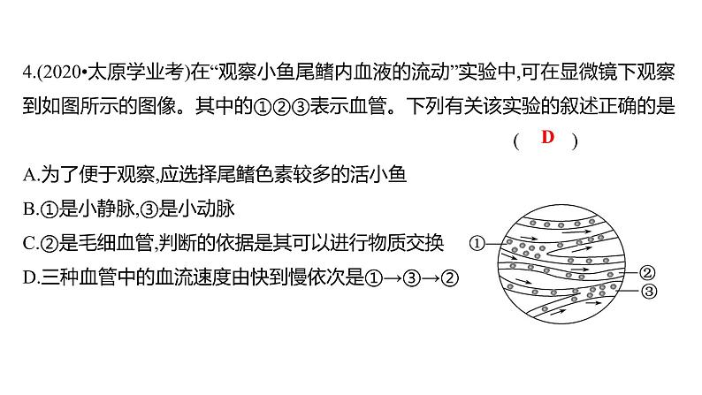 热考题型二　实 验 探 究 课件 2022-2023 人教版生物 七年级下册08