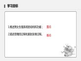 4.1.2 人的生殖 课件 初中生物人教版七年级下册课件+教案+学案+练习
