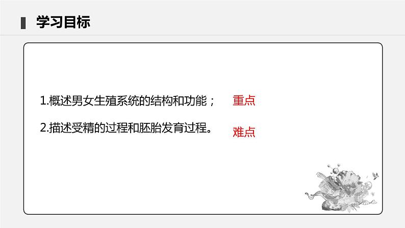 4.1.2 人的生殖 课件 初中生物人教版七年级下册课件+教案+学案+练习03