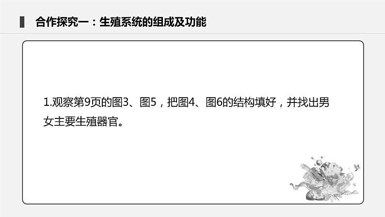 4.1.2 人的生殖 课件 初中生物人教版七年级下册课件+教案+学案+练习05