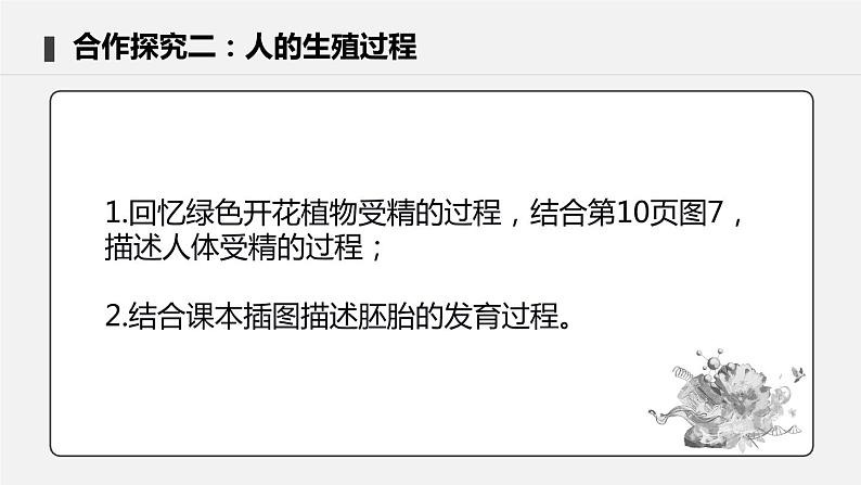 4.1.2 人的生殖 课件 初中生物人教版七年级下册课件+教案+学案+练习08