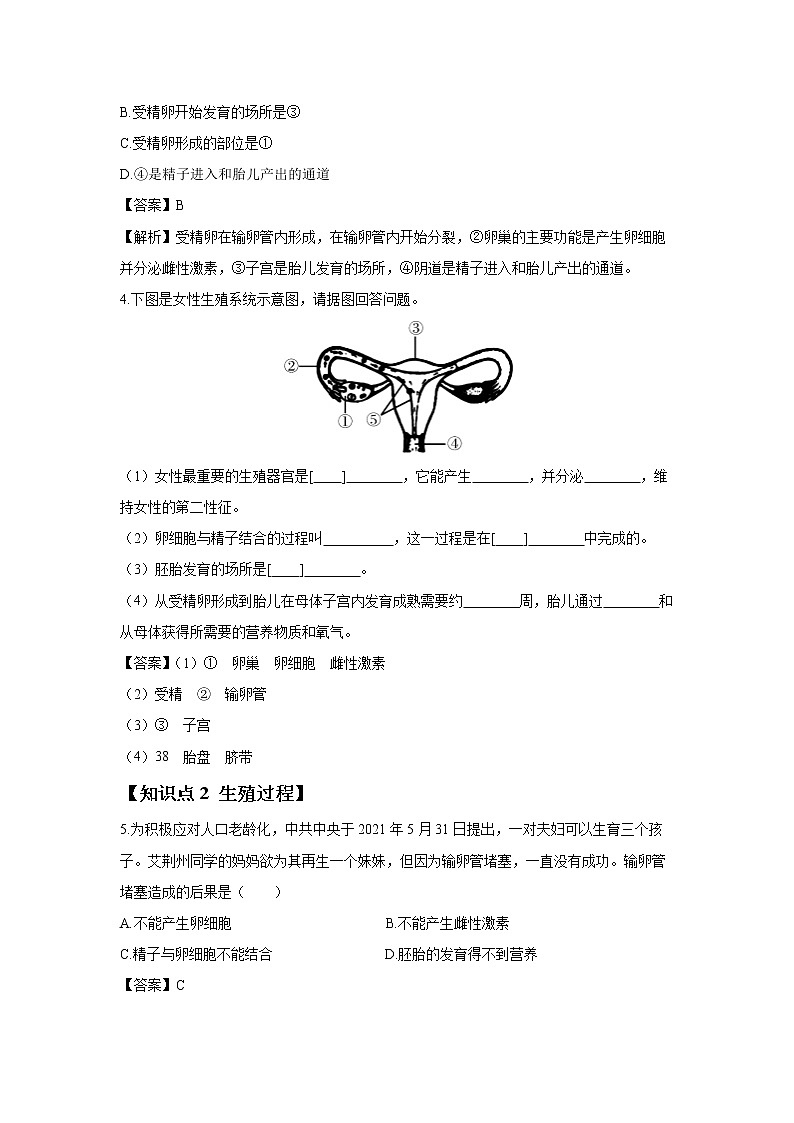 4.1.2 人的生殖 课件 初中生物人教版七年级下册课件+教案+学案+练习02