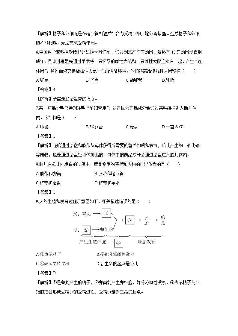 4.1.2 人的生殖 课件 初中生物人教版七年级下册课件+教案+学案+练习03