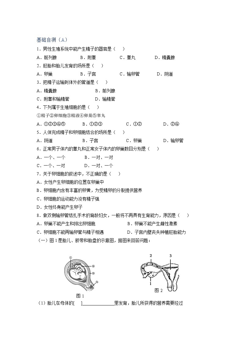 4.1.2 人的生殖 课件 初中生物人教版七年级下册课件+教案+学案+练习02