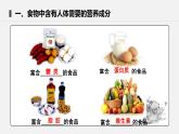 4.8.1 人类的食物 课件 初中生物北师大版七年级下册课件+教案+学案+练习