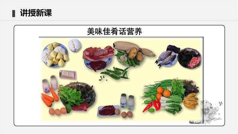 4.2.1 食物中的营养物质 课件 初中生物人教版七年级下册课件+教案+学案+练习05