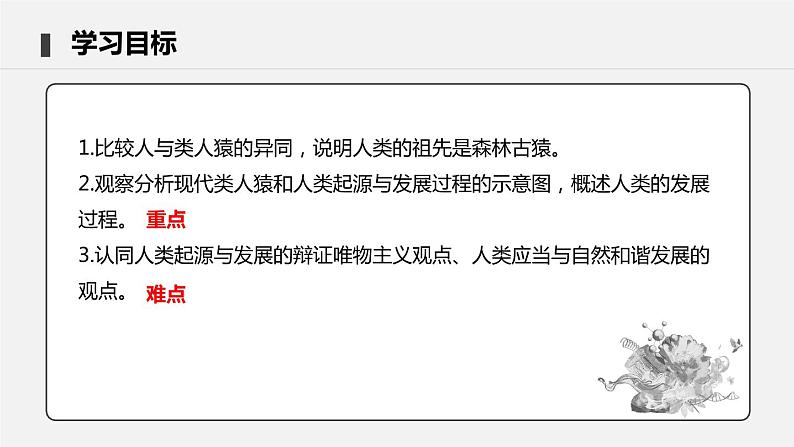 4.1.1 人类的起源和发展 课件 初中生物人教版七年级下册课件+教案+学案+练习03