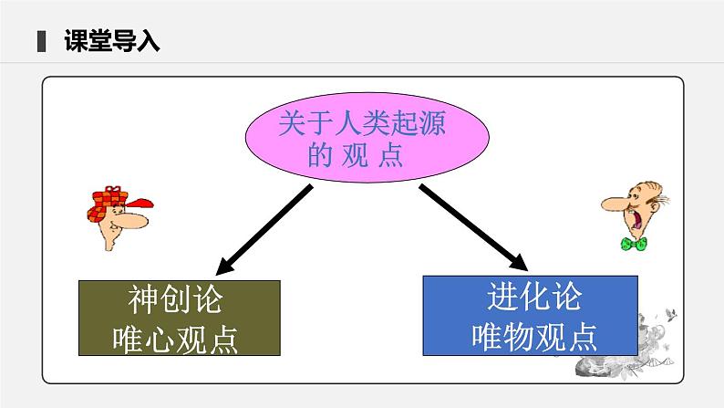 4.1.1 人类的起源和发展 课件 初中生物人教版七年级下册课件+教案+学案+练习05