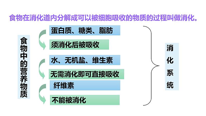 人教版七年级生物下册--2.2 消化和吸收（精品课件）第3页