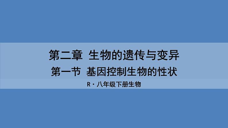 人教版八年级生物下册--7.2.1 基因控制生物的性状（课件）01