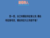 人教版八年级生物下册--7.2.1 基因控制生物的性状（课件）
