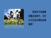人教版八年级生物下册--7.2.1 基因控制生物的性状（课件）