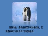 人教版八年级生物下册--7.2.1 基因控制生物的性状（课件）