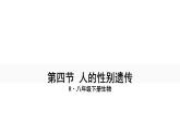 人教版八年级生物下册--7.2.4 人的性别遗传（课件）
