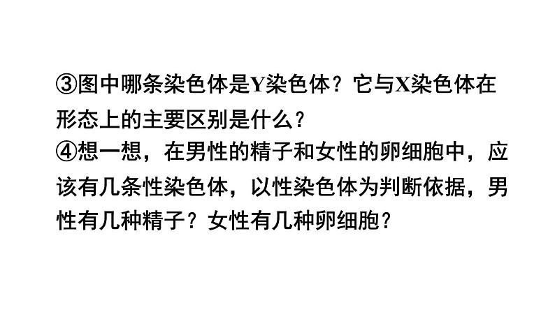 人教版八年级生物下册--7.2.4 人的性别遗传（课件）第6页