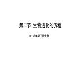 人教版八年级生物下册--第二节 生物进化的历程（课件）