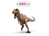 人教版八年级生物下册--第二节 生物进化的历程（课件）