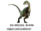 人教版八年级生物下册--第二节 生物进化的历程（课件）