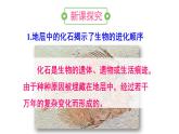 人教版八年级生物下册--第二节 生物进化的历程（课件）