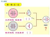 人教版八年级生物下册--第三节 基因的显性和隐性（课件）