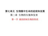 人教版八年级生物下册--第一节 基因控制生物的性状（课件）