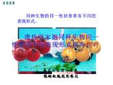 人教版八年级生物下册--第一节 基因控制生物的性状（课件）