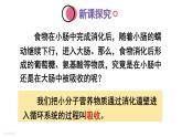 人教版七年级生物下册--4.2.2.2 营养物质的吸收（课件）