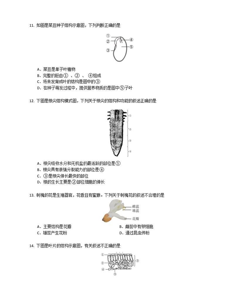 湖南省益阳市安化县江南镇2022-2023学年七年级上学期多校联期末生物考试题试卷(含答案)第3页