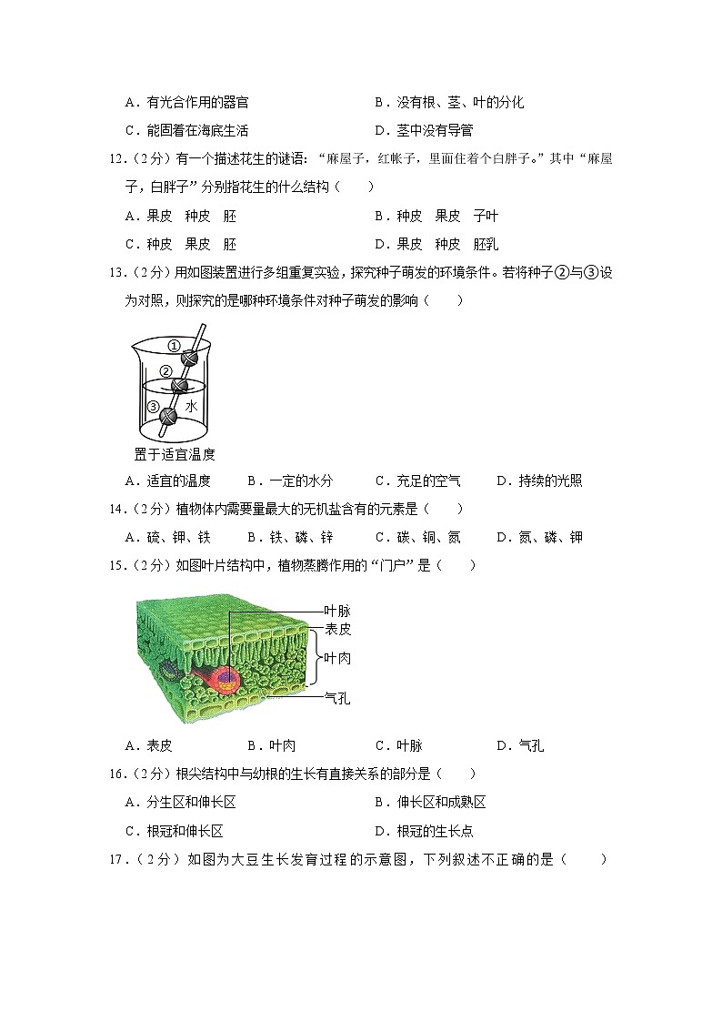 天津市东丽区2022-2023学年七年级上学期期末生物试卷(含答案)第3页