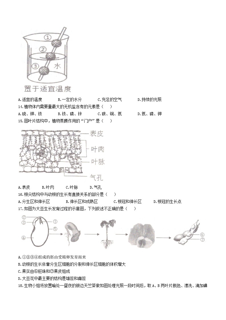 天津市东丽区2022-2023学年七年级上学期期末生物试题(含答案)第3页