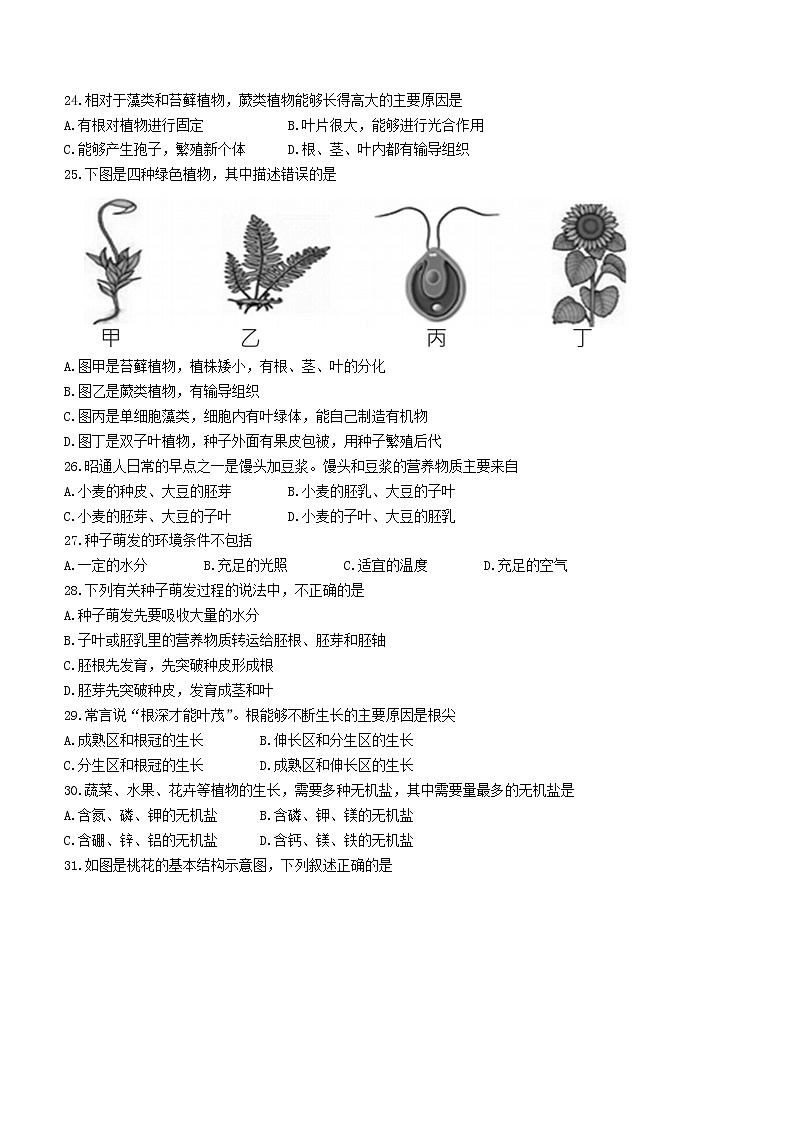 云南省昭通市永善县实验中学等3校2022-2023学年七年级上学期期末生物试题(含答案)第3页