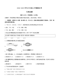 福建省泉州市外国语中学、东海中学2022-2023学年八年级上学期期末联考检测生物试题(含答案)