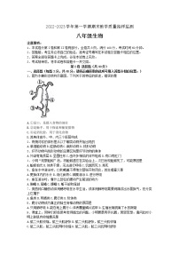 山西省大同市2022-2023学年八年级上学期期末生物试题(含答案)