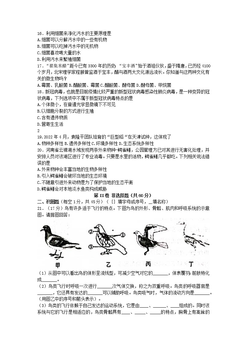 山西省大同市2022-2023学年八年级上学期期末生物试题(含答案)第3页