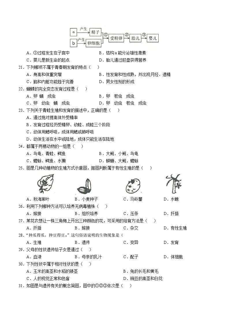 云南玉溪市峨山县2022-2023学年八年级上学期期末生物试题(含答案)03