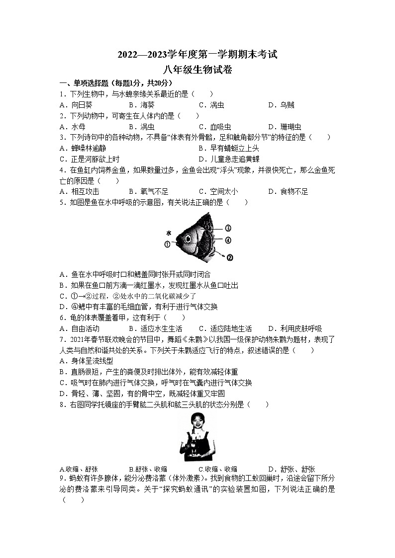 吉林省四平市伊通满族自治县2022-2023学年八年级上学期期末生物试题第1页