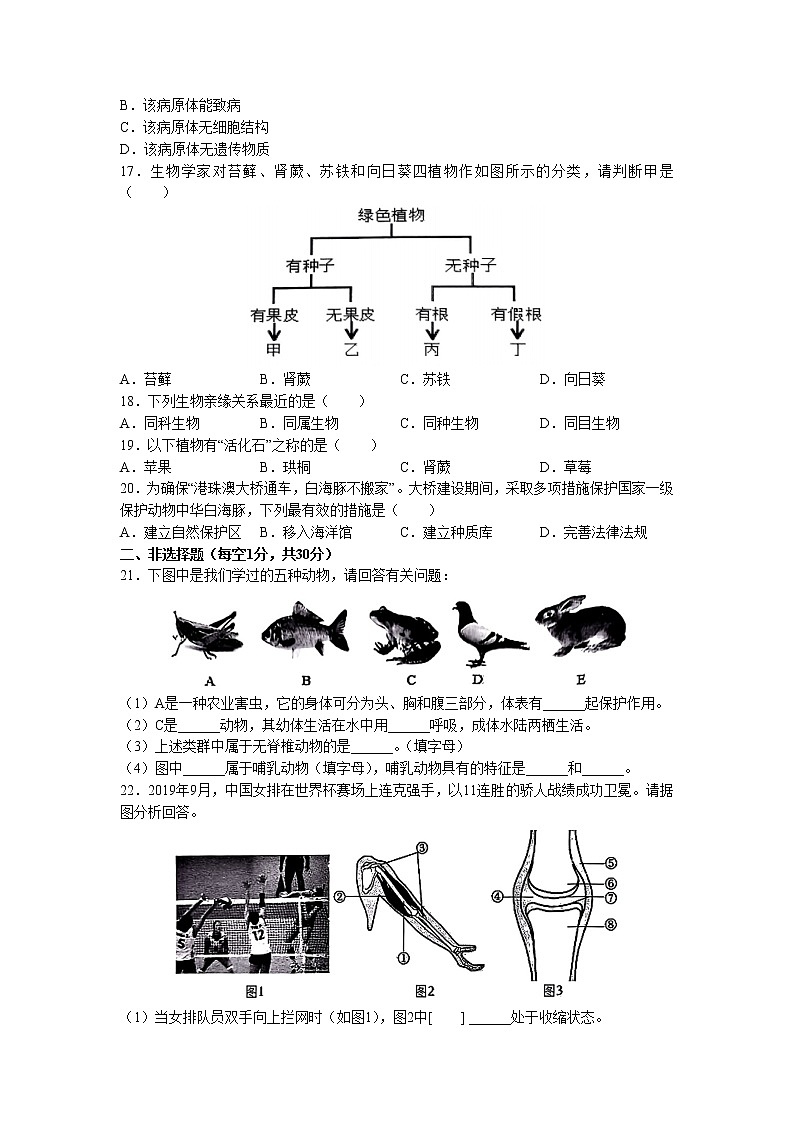 吉林省四平市伊通满族自治县2022-2023学年八年级上学期期末生物试题第3页