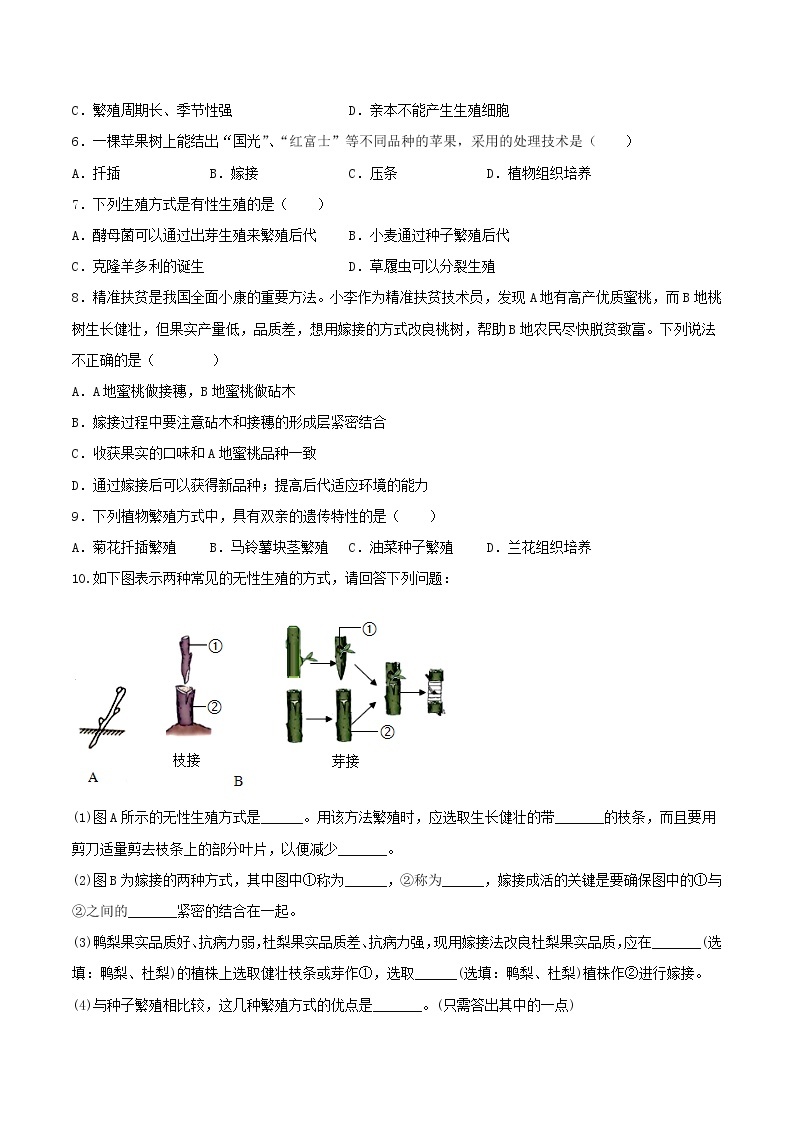 人教版生物八年级下册 7.1.1 植物的生殖 课件+课后练习02