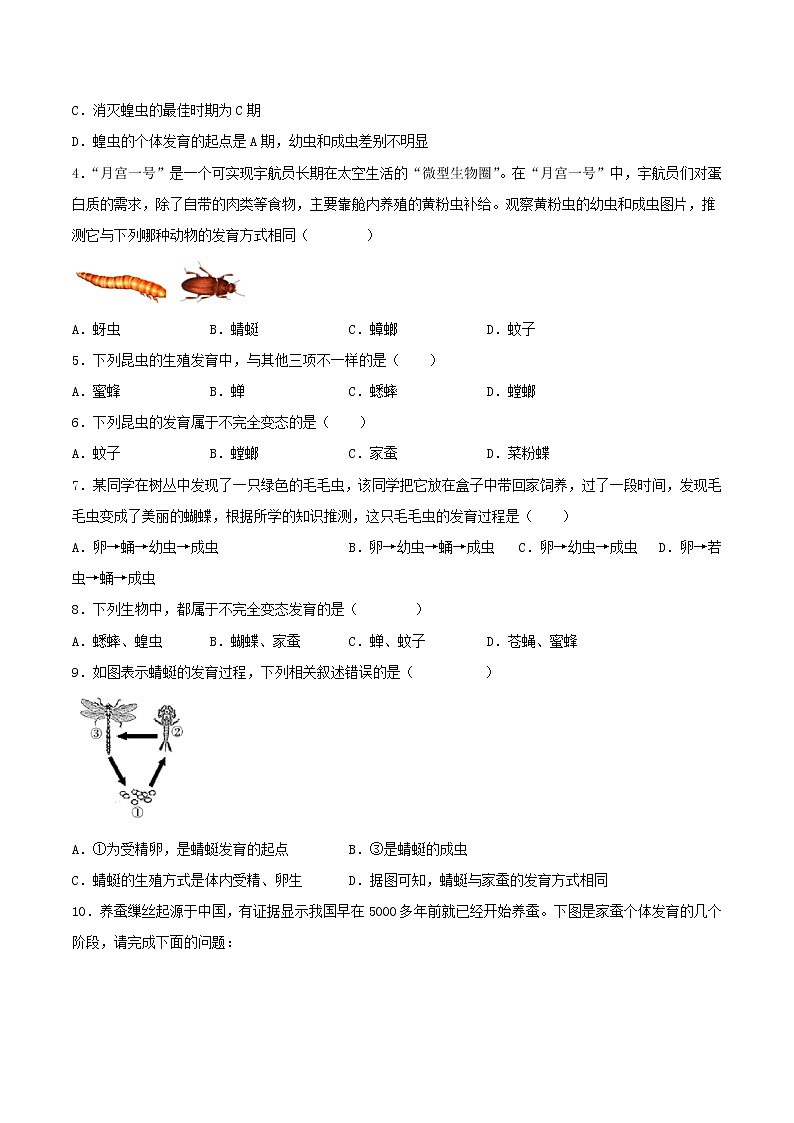 人教版生物八年级下册 7.1.2 昆虫的生殖和发育 课件+课后练习02