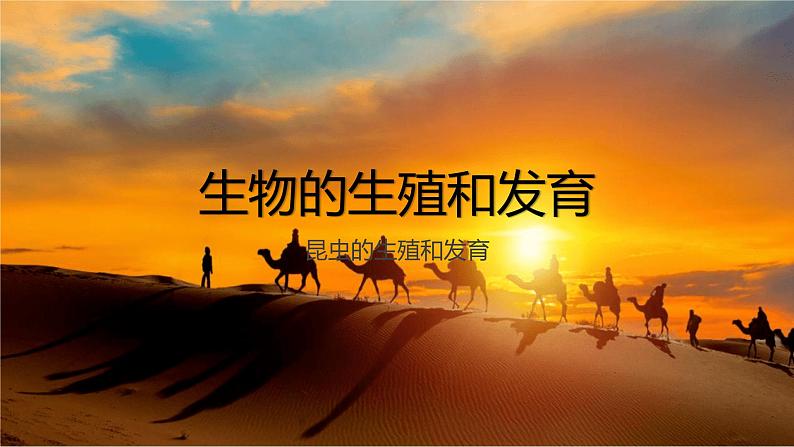 人教版生物八年级下册 7.1.2 昆虫的生殖和发育 课件+课后练习01