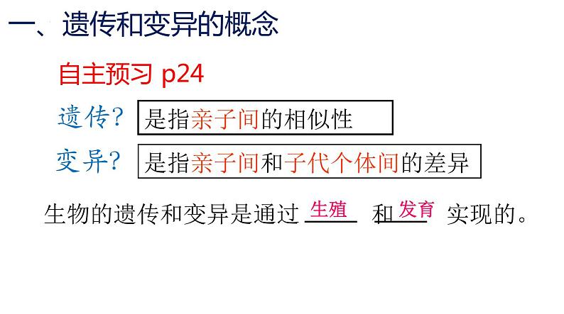 人教版生物八年级下册 7.2.1基因控制生物的性状 课件+教案05