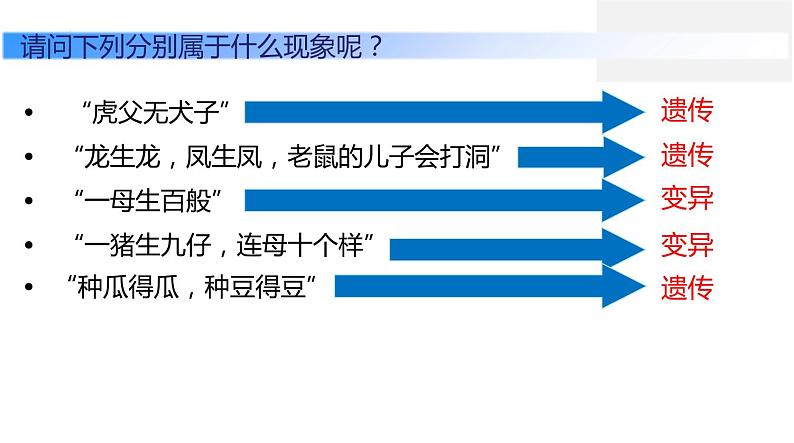 人教版生物八年级下册 7.2.1基因控制生物的性状 课件+教案06