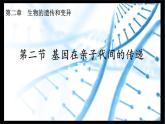 人教版生物八年级下册 7.2.2 基因在亲子代间的传递 课件+教案