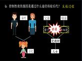 人教版生物八年级下册 7.2.2 基因在亲子代间的传递 课件+教案