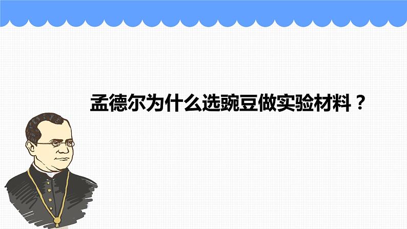 人教版生物八年级下册 7.2.3基因的显性和隐性 课件第8页