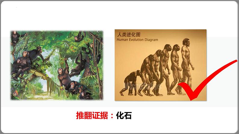 人教版生物八年级下册 7.3.1地球上生命的起源 课件+课后练习06