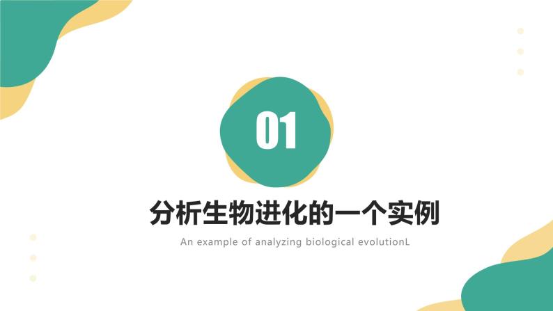 人教版生物八年级下册 7.3.3 生物进化的原因 课件+课后练习04