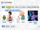 人教版生物八年级下册 8.1.1 传染病及其预防 课件+课后练习