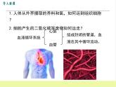 人教版生物七年级下册4.1流动的组织——血液课件PPT