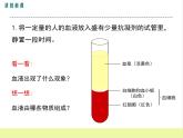 人教版生物七年级下册4.1流动的组织——血液课件PPT